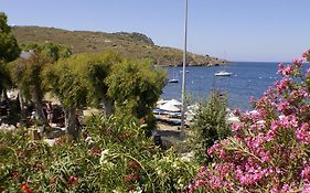 Arriba Pension & Restaurant Bed & Breakfast