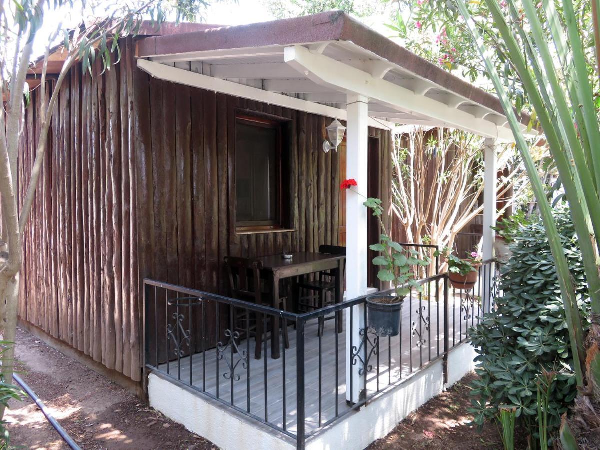 Arriba Pension & Restaurant Gümüşlük Dış mekan fotoğraf
