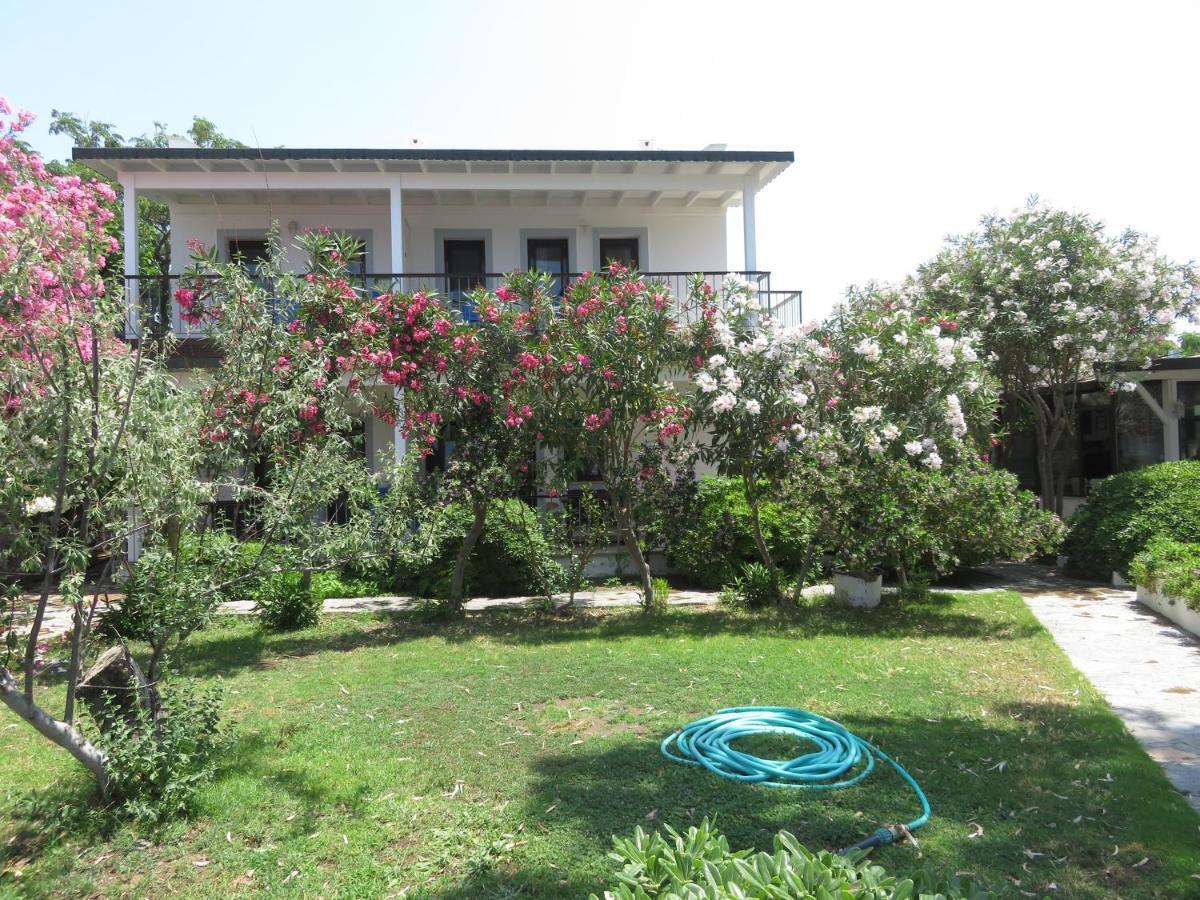 Arriba Pension & Restaurant Gümüşlük Dış mekan fotoğraf