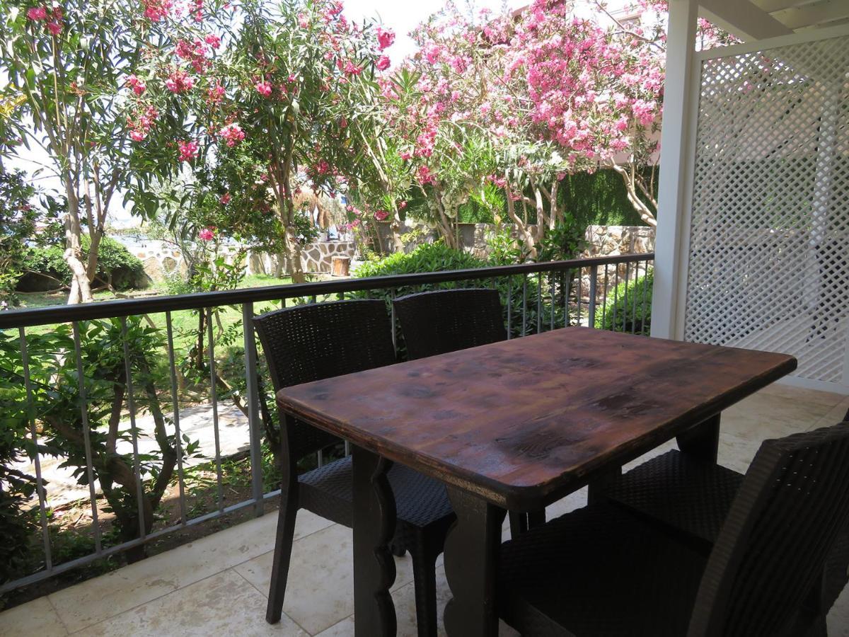 Arriba Pension & Restaurant Gümüşlük Dış mekan fotoğraf