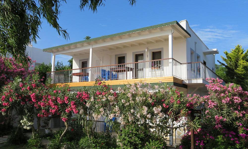 Arriba Pension & Restaurant Gümüşlük Dış mekan fotoğraf
