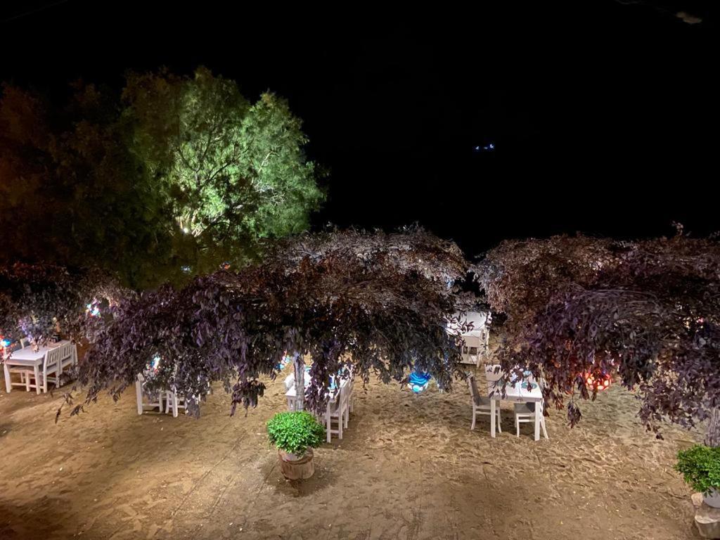 Arriba Pension & Restaurant Gümüşlük Dış mekan fotoğraf