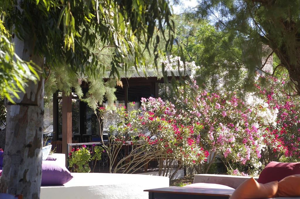 Arriba Pension & Restaurant Gümüşlük Dış mekan fotoğraf