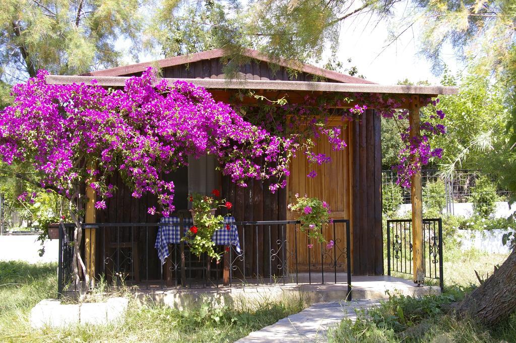 Arriba Pension & Restaurant Gümüşlük Dış mekan fotoğraf