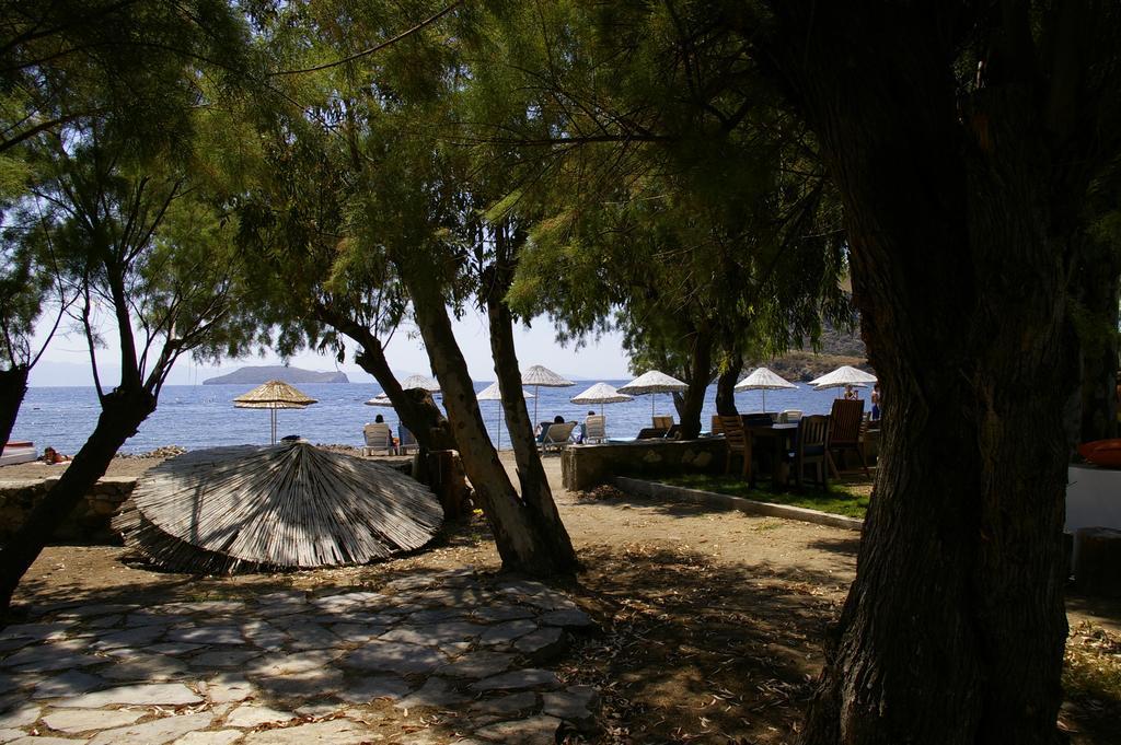 Arriba Pension & Restaurant Gümüşlük Dış mekan fotoğraf